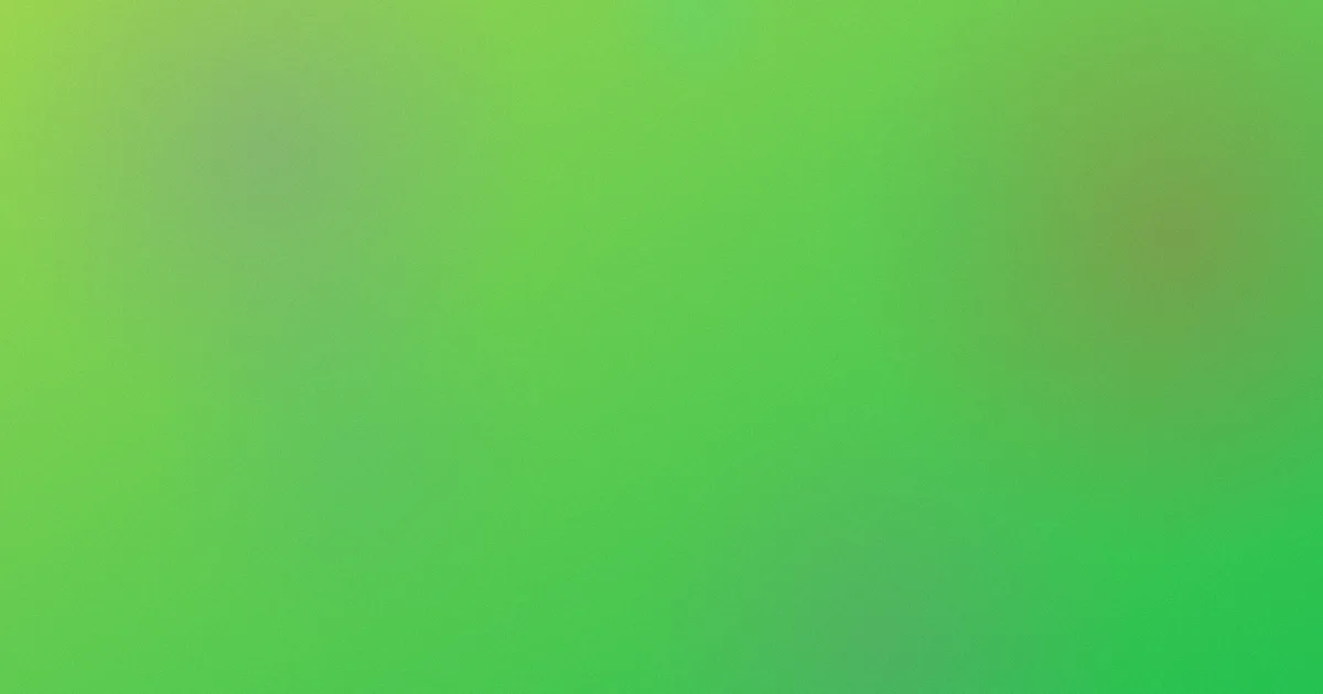 端午晚会怎么用：实测指南